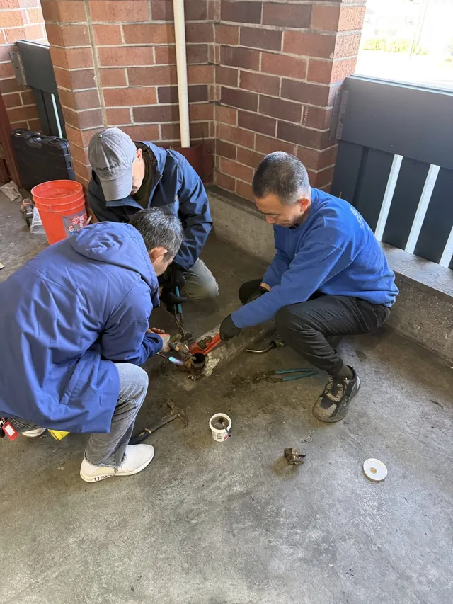 Pipe leak repair