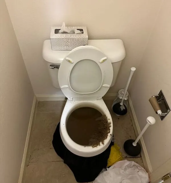 Rapid Toilet Clog Repairs: Serving San Francisco and San Mateo County with ASAP Plumbing Pros